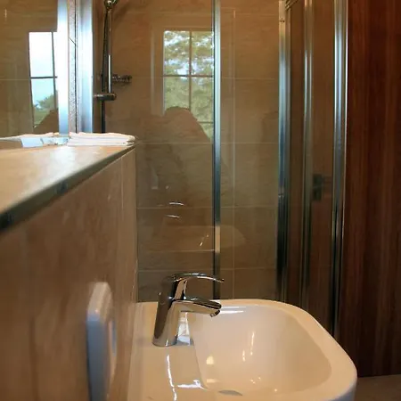 Πανσιόν V Zalesi