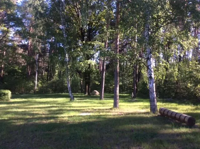 V Zalesi Konukevi Mladá Boleslav